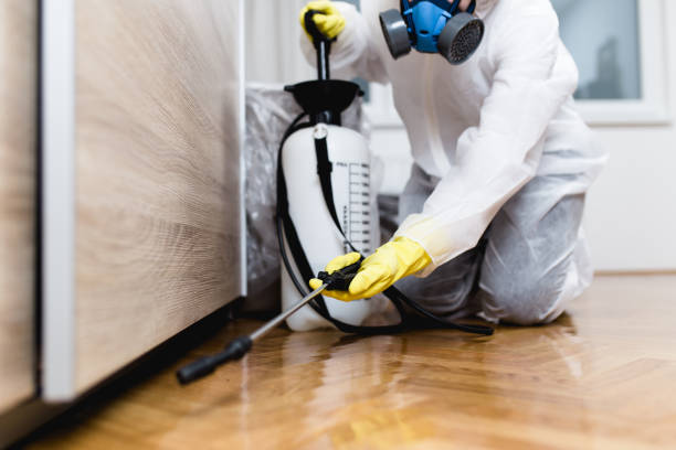 Best Pest Control for Businesses  in Redwood, TX
