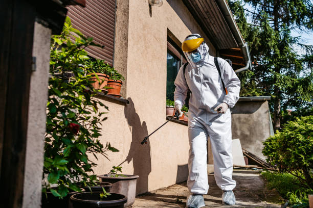 Best Termite Control Services  in Redwood, TX