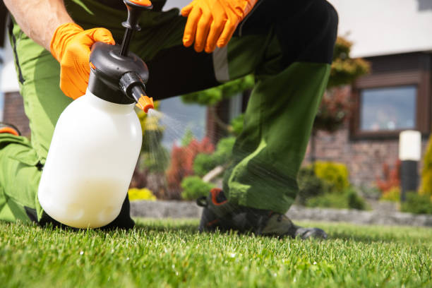 Best Pest Inspection Near Me  in Redwood, TX