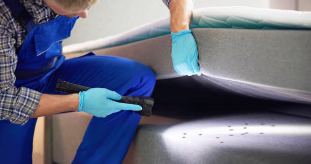 Best Emergency Pest Control  in Redwood, TX