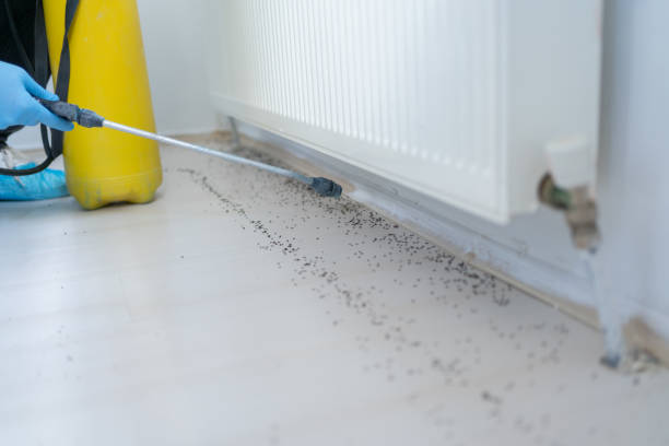 Best Cockroach Control Services  in Redwood, TX