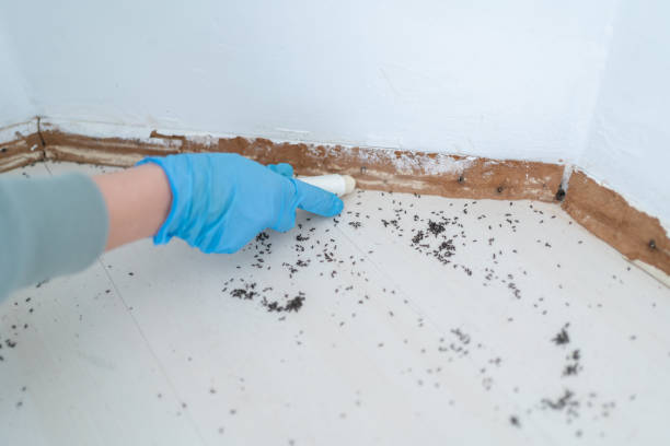 Best Affordable Exterminators  in Redwood, TX